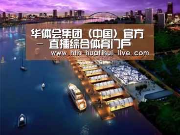 案例展示八