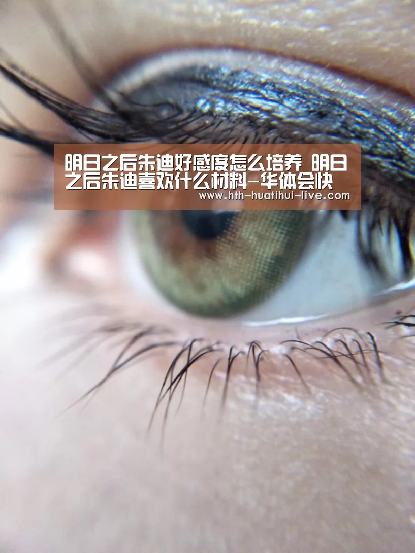 明日之后朱迪好感度怎么培养 明日之后朱迪喜欢什么材料-华体会快讯(图1) 华体会官方