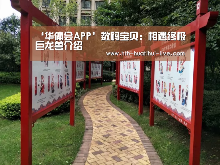 华体会直播