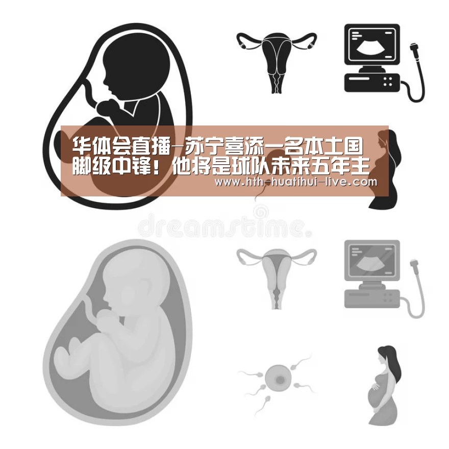 华体会直播-苏宁喜添一名本土国脚级中锋!他将是球队未来五年主力中锋!(图2) 华体会APP