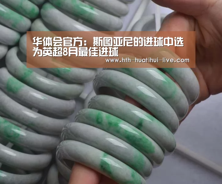 华体会官方:斯图亚尼的进球中选为英超8月最佳进球(图1) 华体会快讯