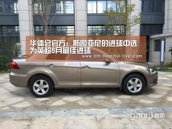 华体会官方:斯图亚尼的进球中选为英超8月最佳进球(图3) 华体会官方