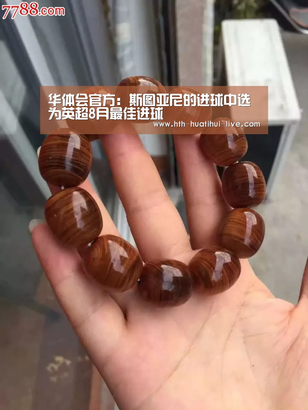 华体会官方:斯图亚尼的进球中选为英超8月最佳进球(图4) 华体会APP