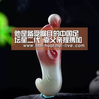 他是备受瞩目的中国足坛星二代 靠父亲提携加盟苏宁如今沦落中甲|华体会官方(图1) 华体会APP