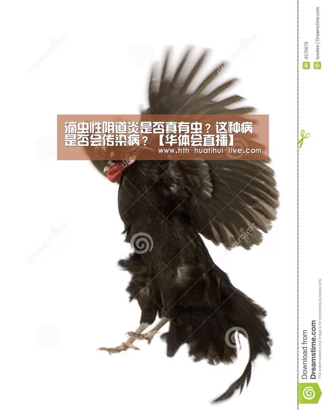滴虫性阴道炎是否真有虫?这种病是否会传染病?【华体会直播】(图1) 华体会直播