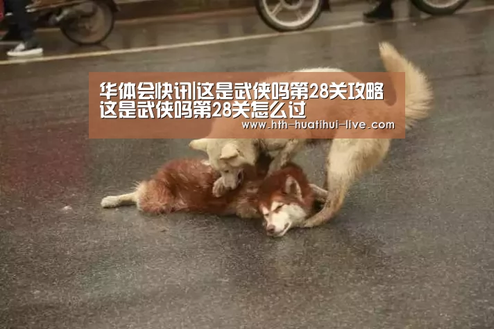华体会快讯|这是武侠吗第28关攻略 这是武侠吗第28关怎么过(图1) 华体会官方